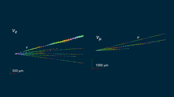 Event displays identified by the FASER Collaboration as candidates for an νe (left) and a νμ (right) interacting in the detector; invisible here, the neutrinos arrive from the left and then interact to create multiple tracks spraying out to the right (colored lines), one of which is identified as a charged lepton. Image credit: FASER Collaboration.